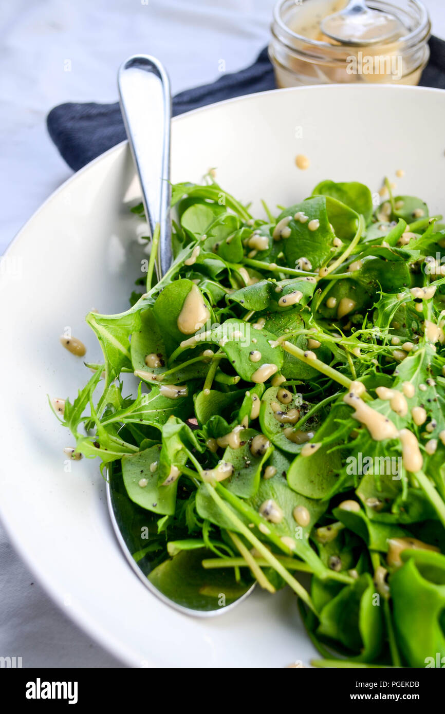 Una semplice insalata verde di mizuna e minatore della lattuga servita con il rabarbaro e semi di papavero condimento, servito in una tazza bianca con un cucchiaio. Foto Stock