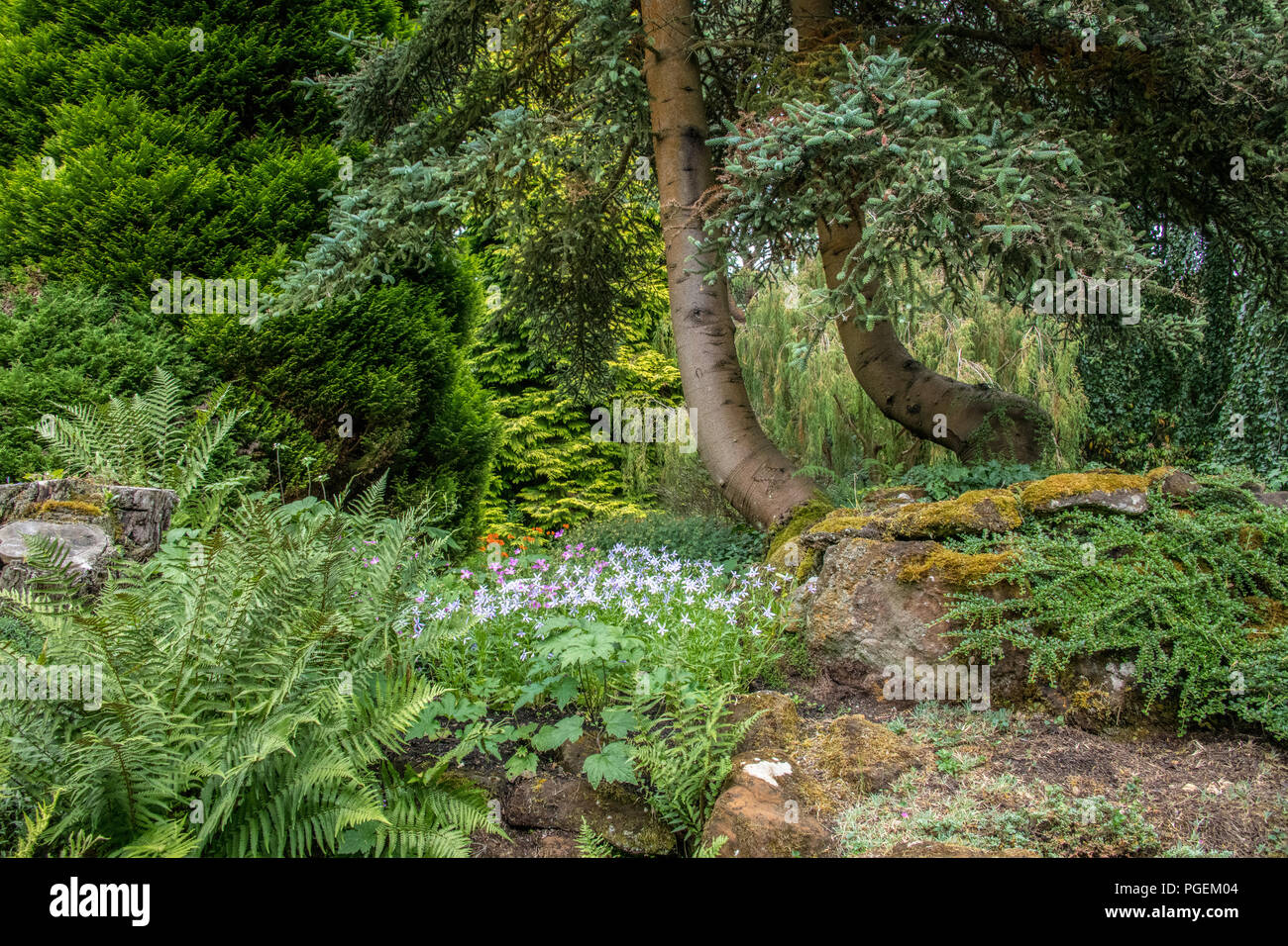 Compton Acres Garden, Dorset, Regno Unito Foto Stock