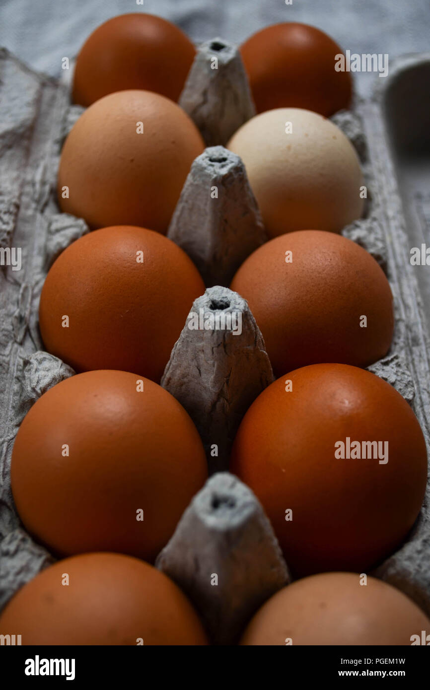 Dieci marrone uova di pollo in una scatola di cartone. Le uova mostrano variazioni di colore e tono. Foto Stock
