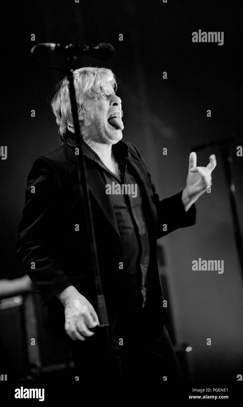 Cantante belga Arno in concerto presso il festival Crammerock in Stekene (Belgio, 07/09/2013) Foto Stock