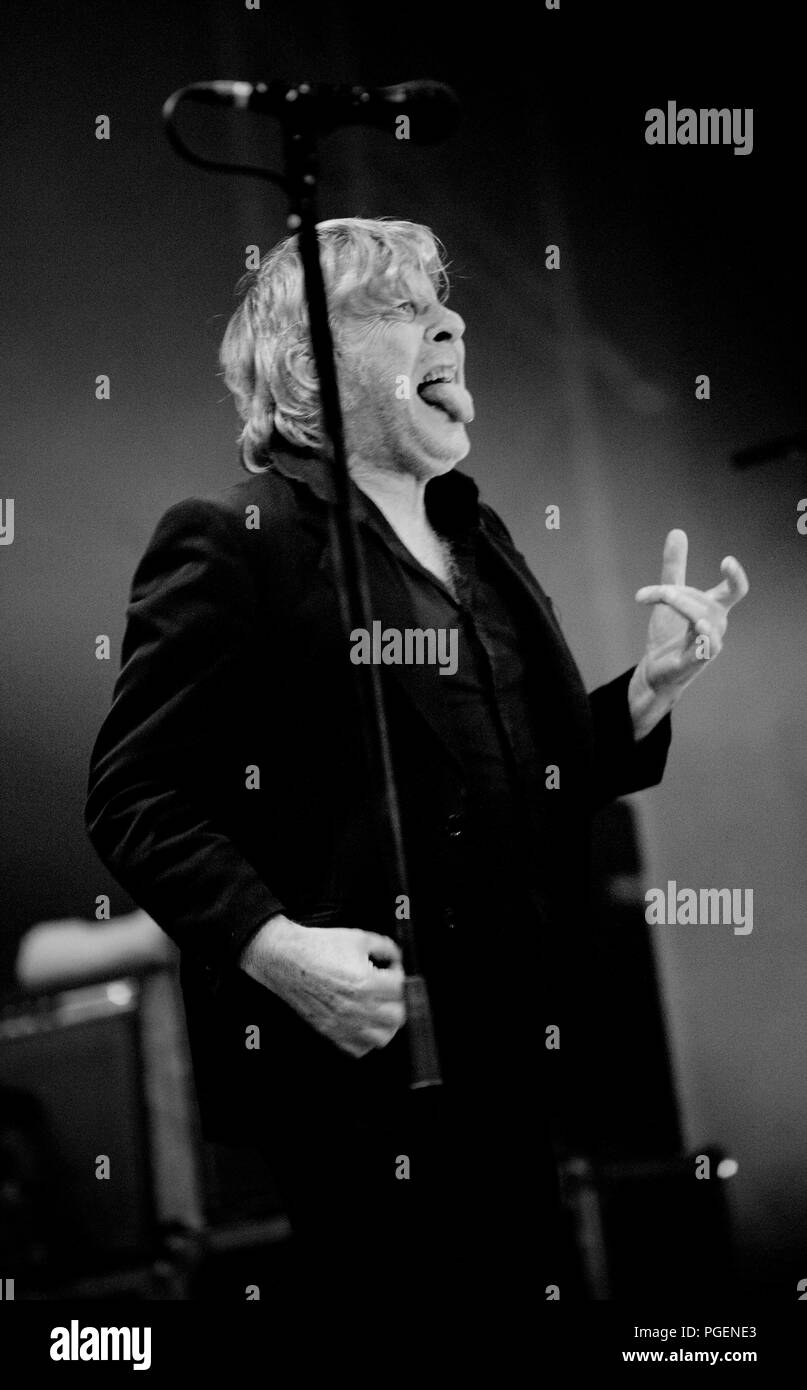 Cantante belga Arno in concerto presso il festival Crammerock in Stekene (Belgio, 07/09/2013) Foto Stock