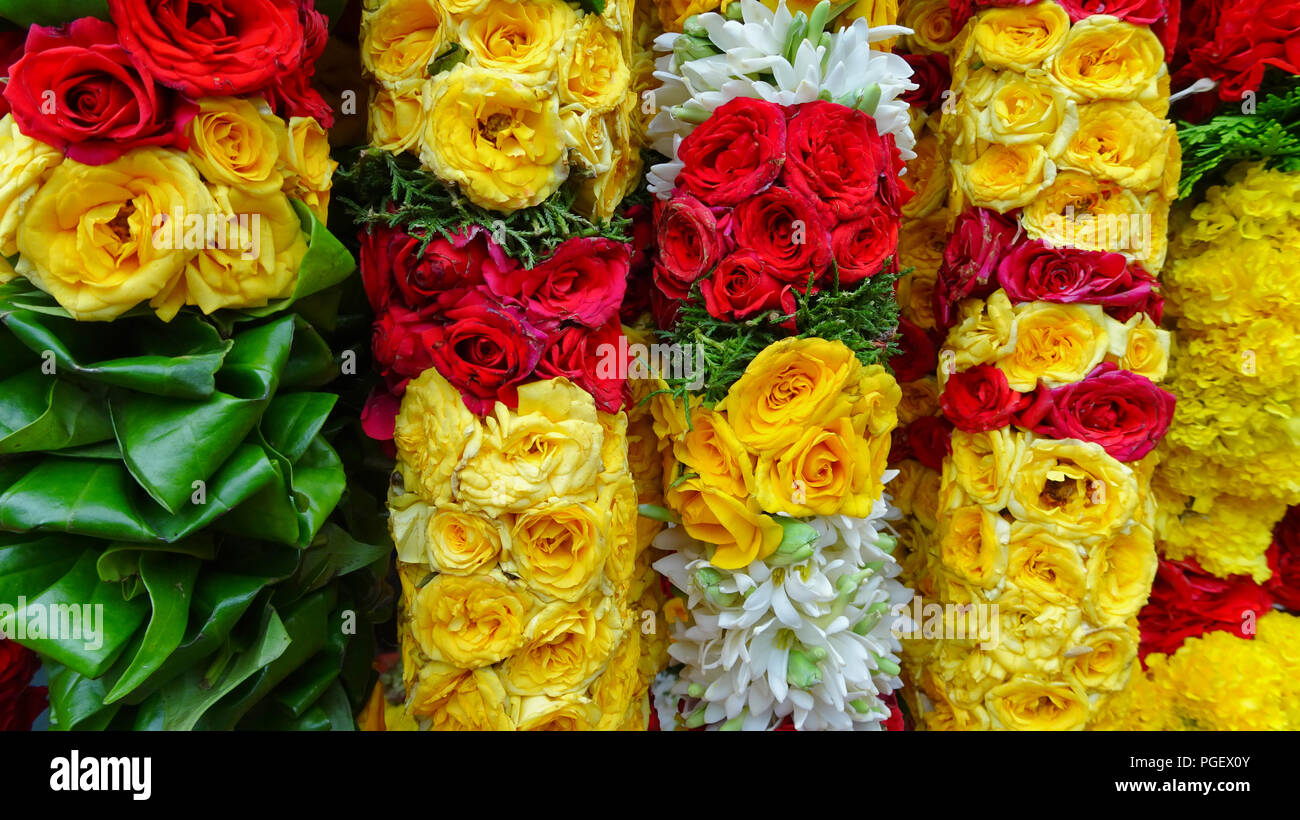 Ghirlanda di fiori di colori diversi sono disponibili per l'acquisto in un mercato indiano Foto Stock