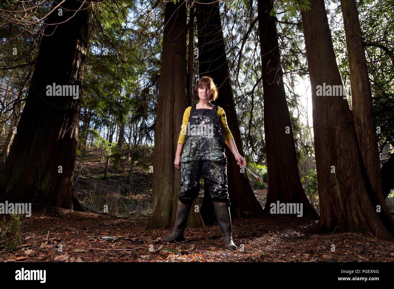 Dominique Cameron, artista. Fotografato nel bosco in Fife, dove ha creato il lavoro per la sua nuova mostra, il legno. La mostra si mostra al Fidra Fine Art a Gullane, East Lothian, Scozia, dal 31 agosto 2018. Foto di Gary Doak Fotografia Foto Stock