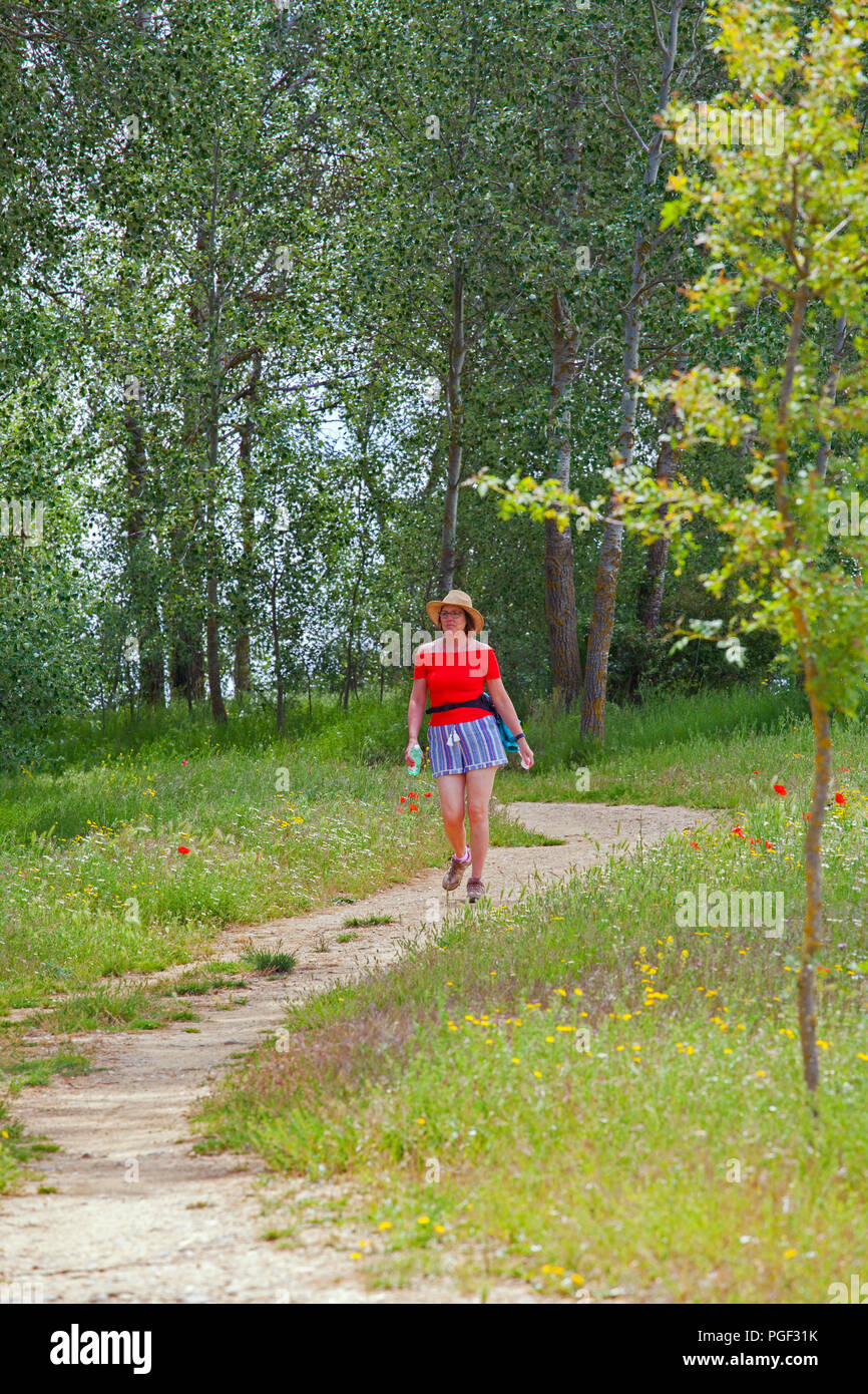 Donna che cammina il Camino de Santiago attraverso Papaveri e fiori selvatici lungo le rive del fiume Rio Ucieza vicino Villalcazarde Sirga Spagna Foto Stock