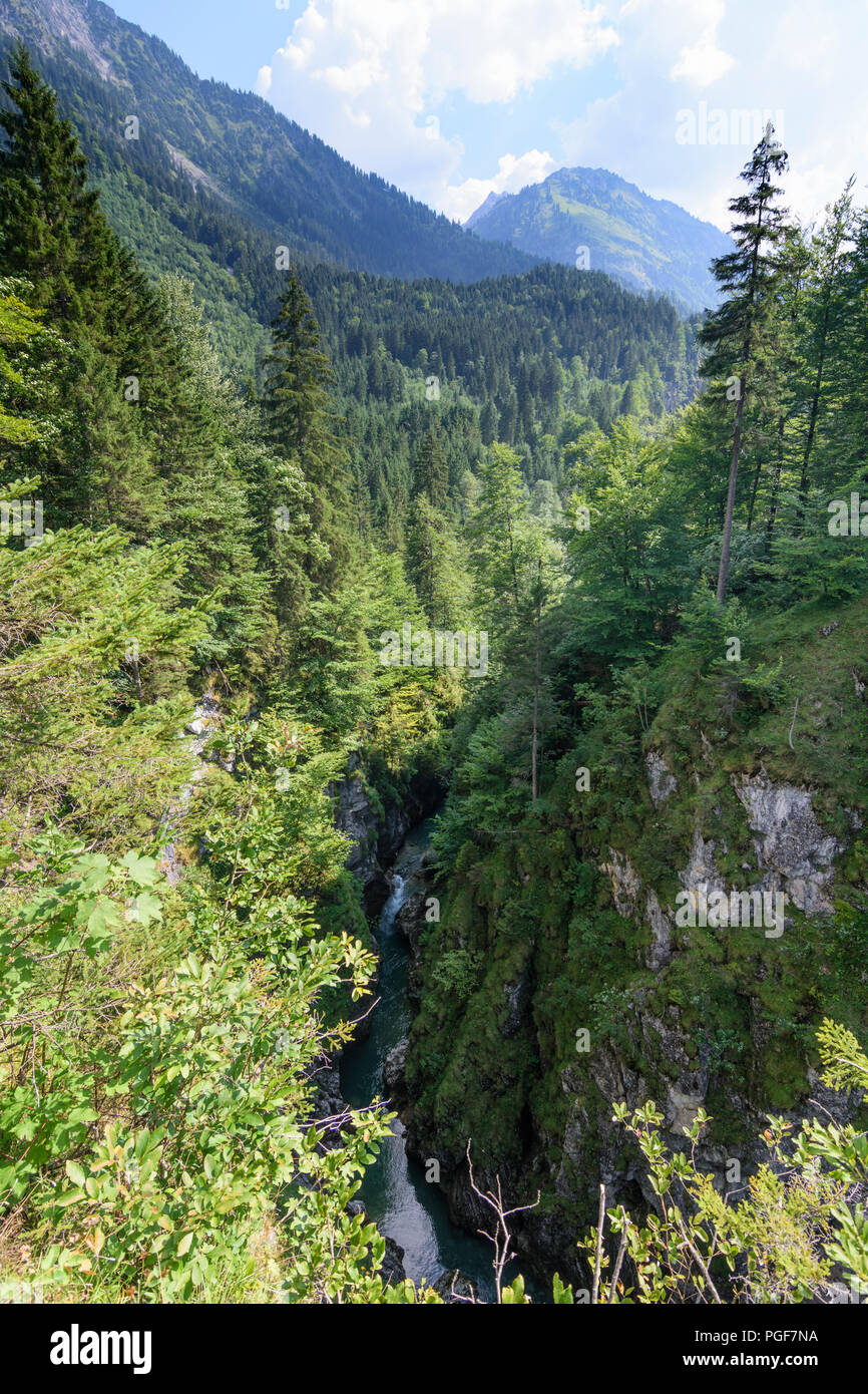 Allgäuer Alpen: gola del fiume Ostrach, Schwaben, Algovia, Svevia, Baviera, Baviera, Germania Foto Stock