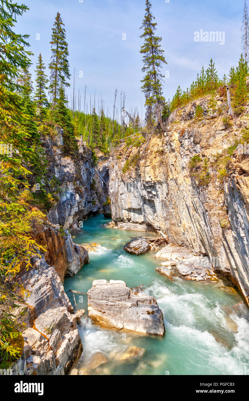 Turchesi acque dalle Tokumm Creek fluisce attraverso il Marble Canyon in Kootenay National Park, British Columbia, Canada, vicino a Banff. Foto Stock