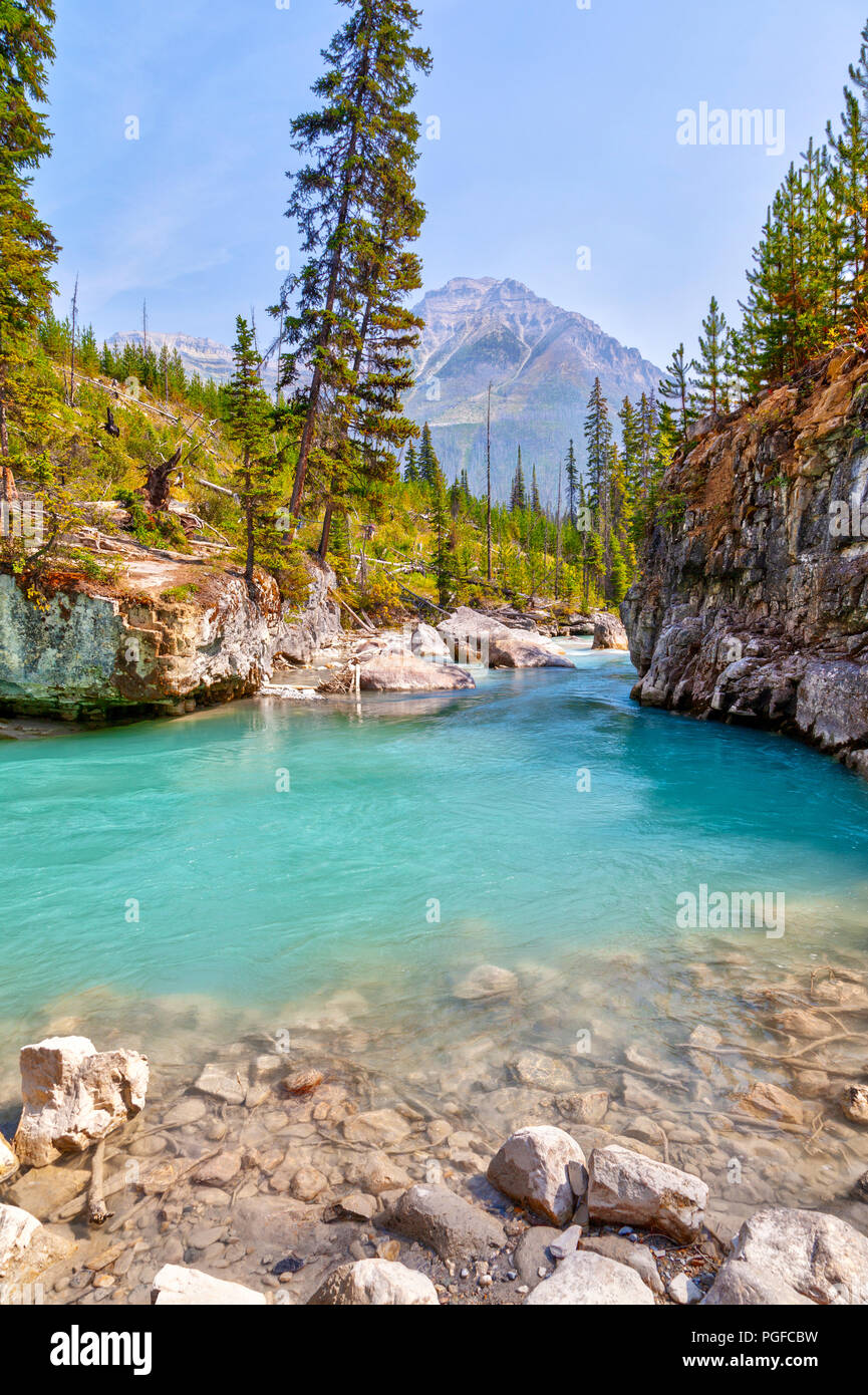 Turchesi acque dalle Tokumm Creek fluisce attraverso il Marble Canyon in Kootenay National Park, British Columbia, Canada, vicino a Banff. Montare Whymper Foto Stock