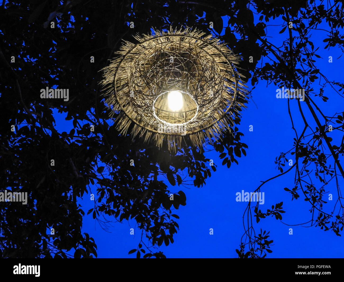 Paralume rustico overhead si blocca sotto il profila a rami di un albero. Profondo blu crepuscolo sullo sfondo del cielo Foto Stock