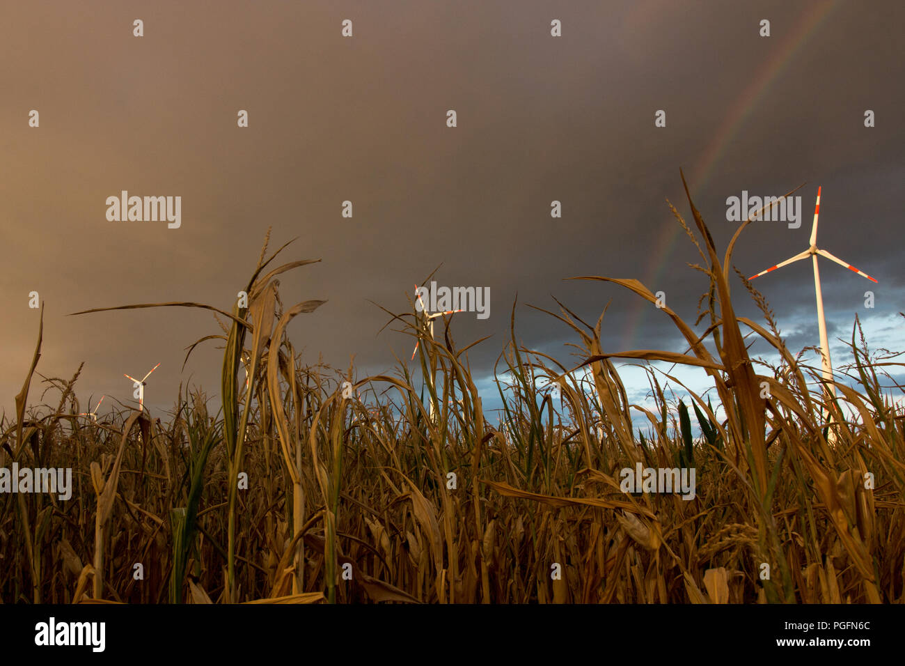 Germania - Prima porta tempesta arcobaleno. Credito: Mattis Kaminer/Alamy Live News Foto Stock