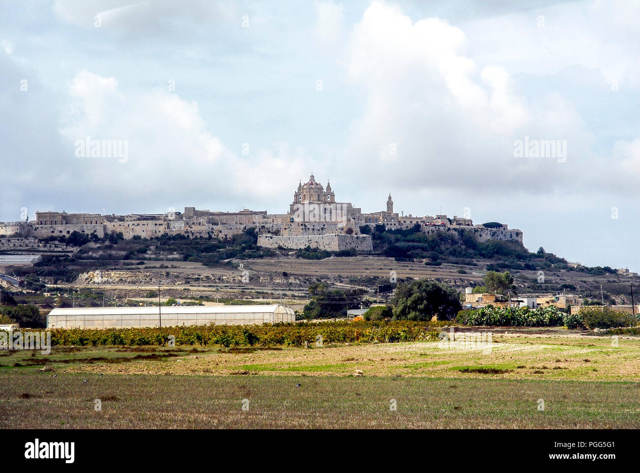 Vista di Mdina,l'antica capitale di Malta,2010. Foto Stock