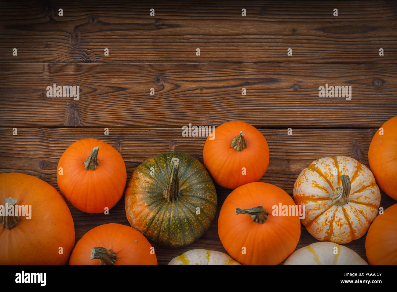Molti zucche arancione scuro su sfondo di legno, Halloween concetto, vista dall'alto con spazio di copia Foto Stock