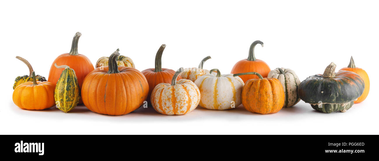 Molte e diverse varietà di zucche isolati su sfondo bianco, Halloween o giorno del Ringraziamento concept Foto Stock