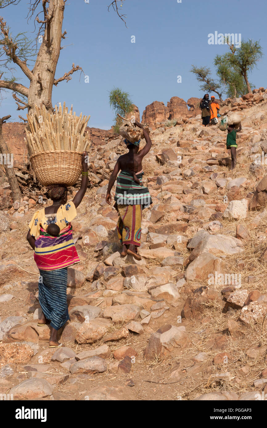 Le donne africane carryng neonati sul loro retro salire un ripido sentiero di pietra portando il miglio e altri prodotti per il loro villaggio nel paese Dogon del Mali Foto Stock