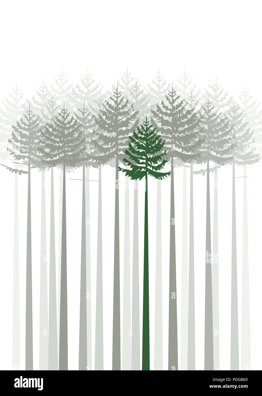 Illustrazione Vettoriale di foresta di abeti silhouette su uno sfondo bianco Illustrazione Vettoriale