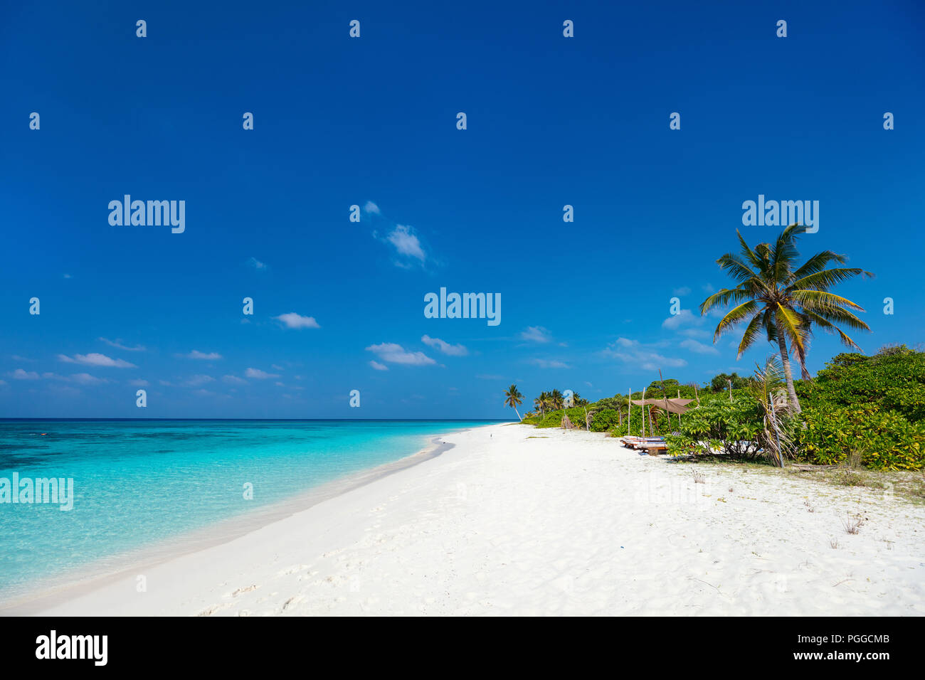 Bella spiaggia tropicale sull'isola esotica delle Maldive Foto Stock