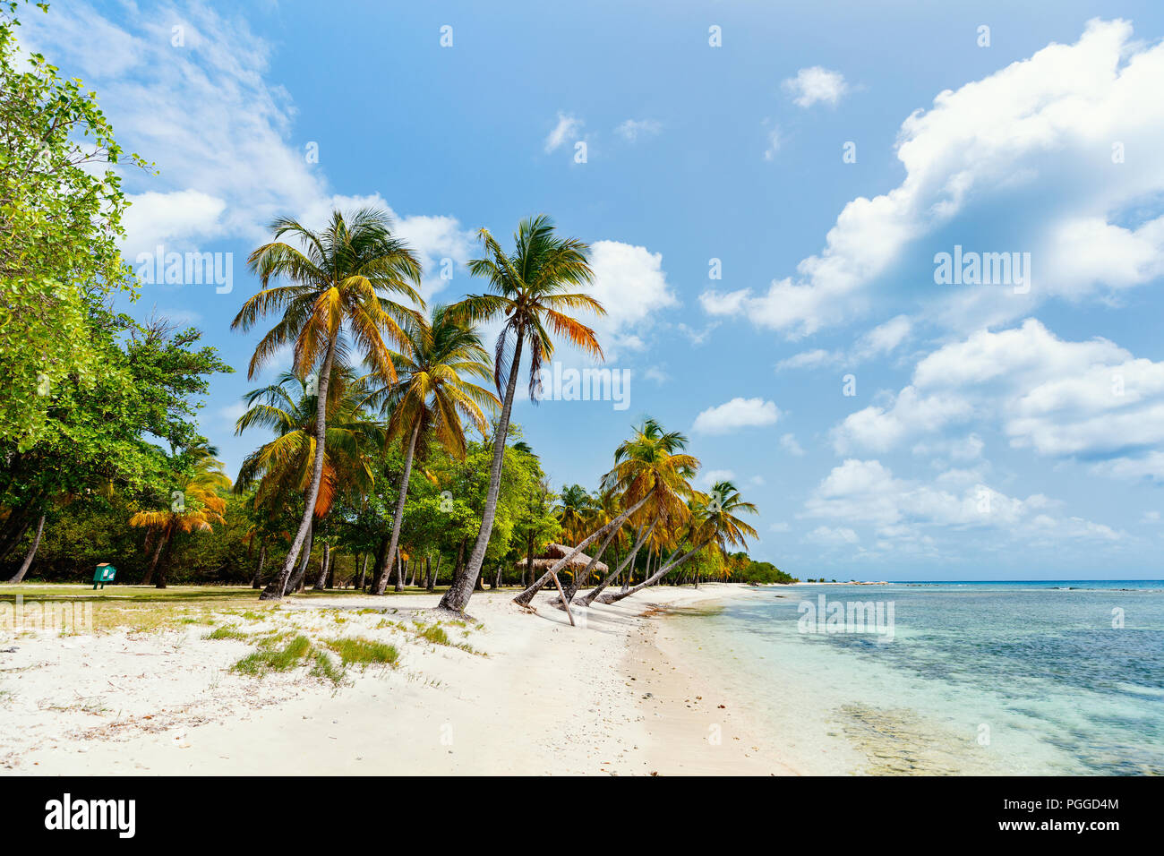 Spiaggia tropicale idilliaco con sabbia bianca, palme e turchese del mare dei Caraibi acqua su Mustique Island in St Vincent e Grenadine Foto Stock