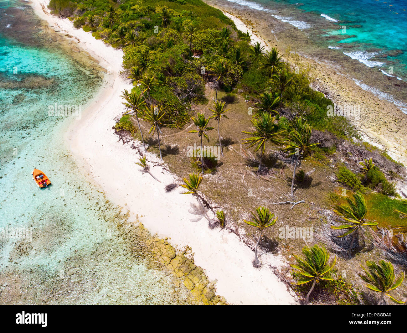Antenna fuco vista delle isole tropicali e turchese del mare dei Caraibi di Tobago Cays a St Vincent e Grenadine Foto Stock
