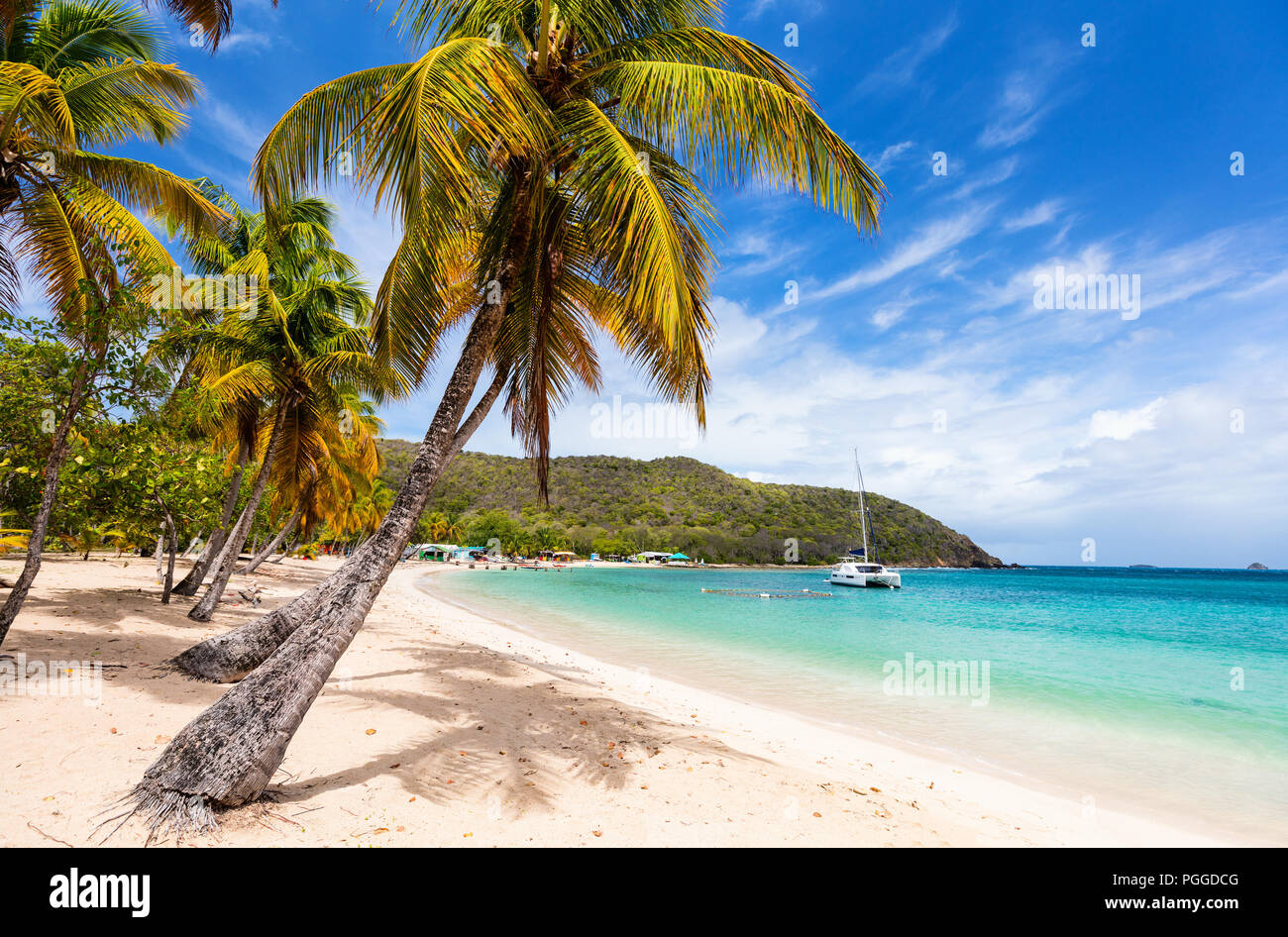 Spiaggia tropicale idilliaco con sabbia bianca, palme e turchese del mare dei Caraibi acqua su Mayreau isola in St Vincent e Grenadine Foto Stock