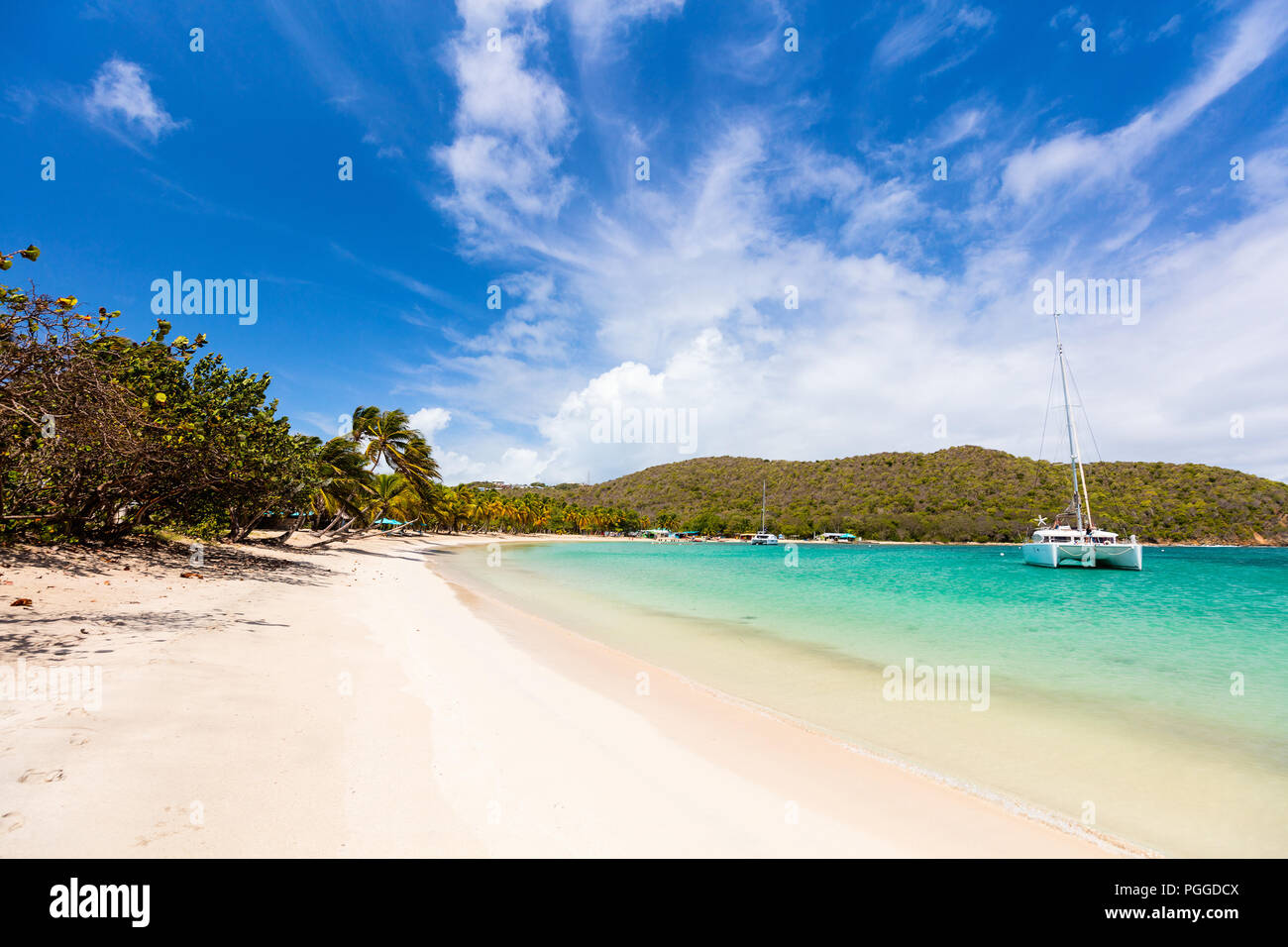 Spiaggia tropicale idilliaco con sabbia bianca, palme e turchese del mare dei Caraibi acqua su Mayreau isola in St Vincent e Grenadine Foto Stock