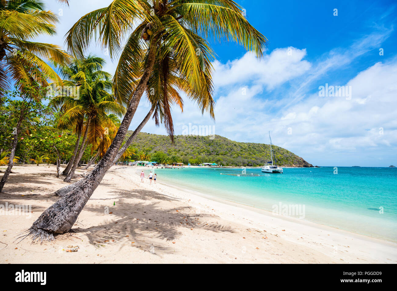 Spiaggia tropicale idilliaco con sabbia bianca, palme e turchese del mare dei Caraibi acqua su Mayreau isola in St Vincent e Grenadine Foto Stock