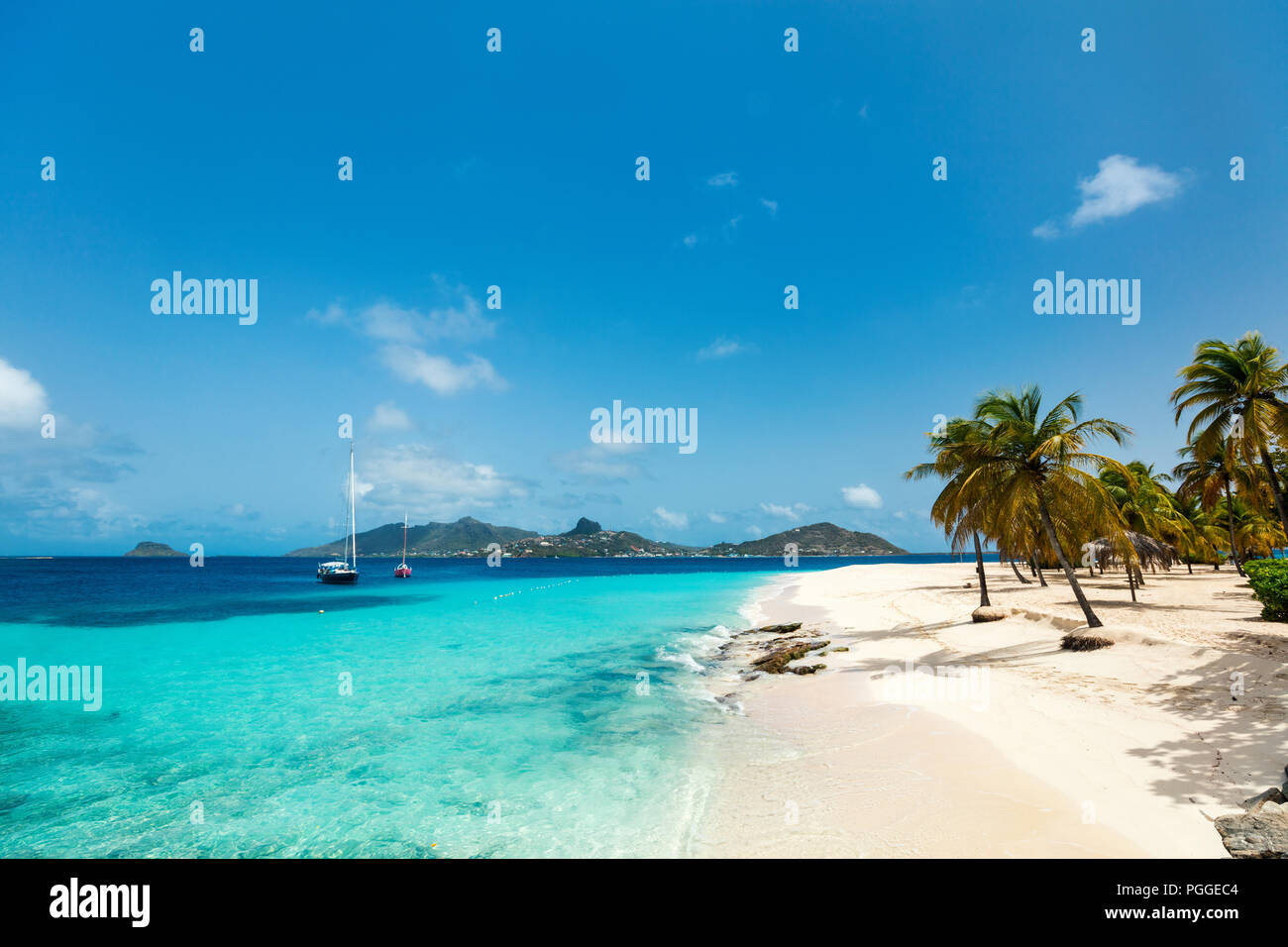 Spiaggia tropicale idilliaco con sabbia bianca, palme e Caraibi turchesi acque del mare sull'isola esotica in St Vincent e Grenadine Foto Stock