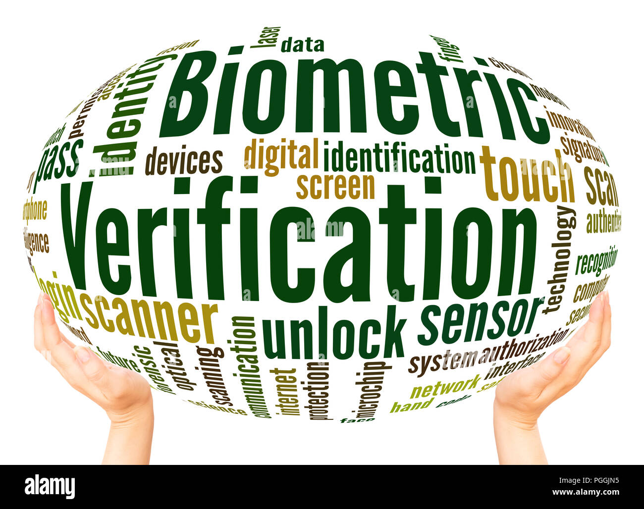 La verifica biometrica word cloud sfera mano concetto su sfondo bianco. Foto Stock