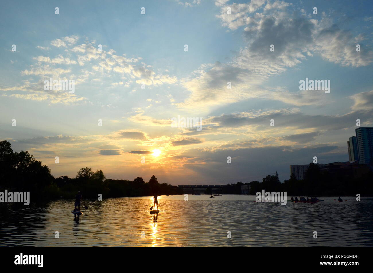 Austin, Texas, Stati Uniti d'America - una donna paddle boards al tramonto sul Lago di coccinella in Austin, Texas. Foto Stock