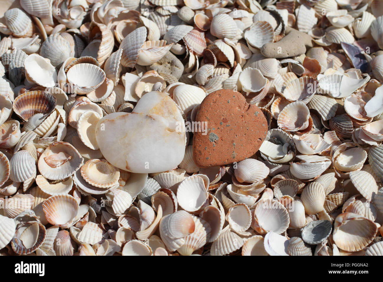 Due pietre a forma di cuori giacente su seashells sulla costa del mare. Foto Stock