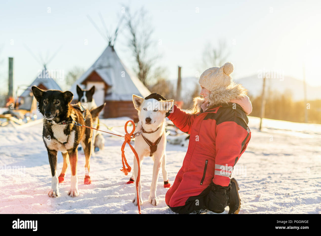 Adorabile ragazza avente una coccola con husky sled dog in una fattoria nel nord della Norvegia Foto Stock