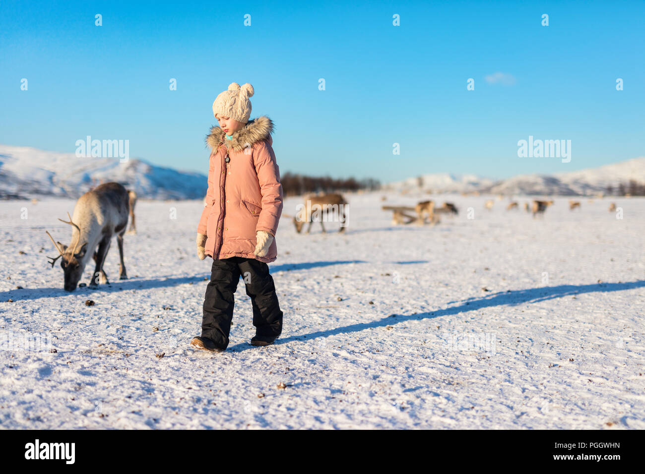 Bambina circondato da renne sulla soleggiata giornata invernale nel nord della Norvegia Foto Stock