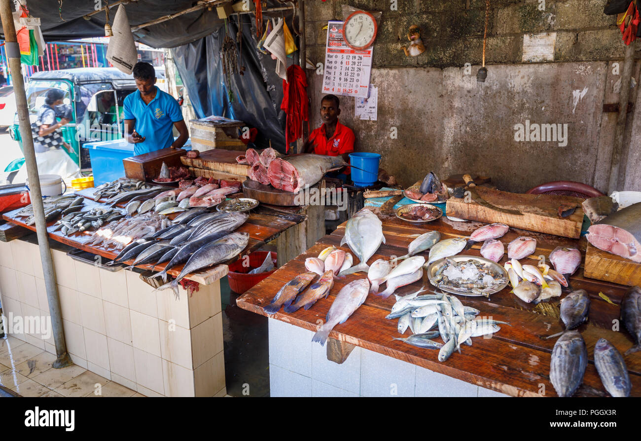 Pressione di stallo di pesce con pesce fresco appena pescato a livello locale sabato mercato costiere a Dikwella nel distretto di Matara del sud della provincia, Sri Lanka Foto Stock