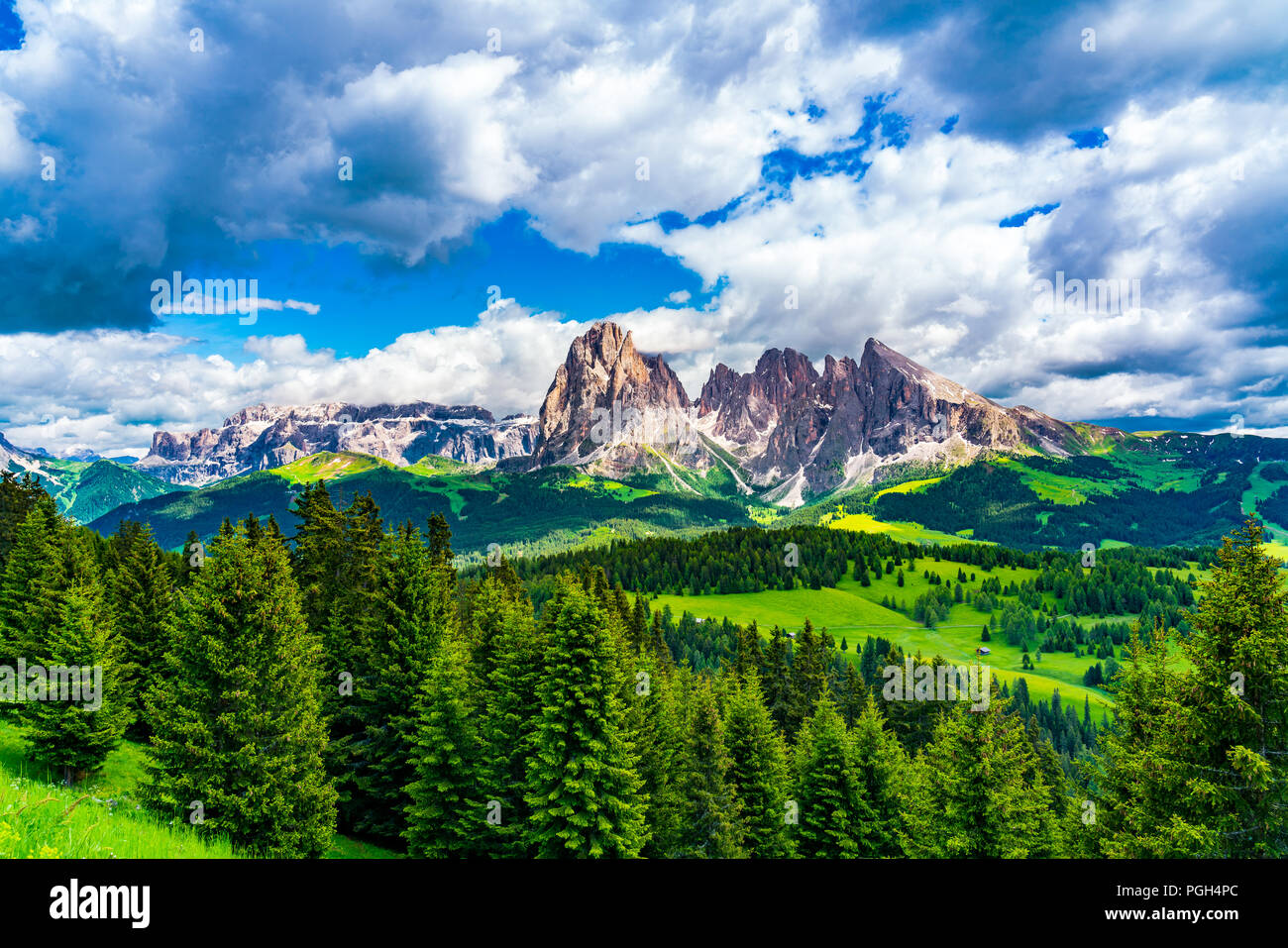 Il paesaggio della famosa Alpe di Siusi con il bel Gruppo del Sasso Lungo delle Dolomiti in Alto Adige, Italia Foto Stock