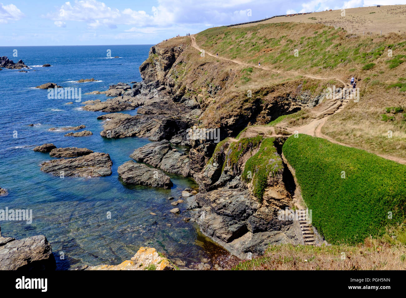 Il punto piu' meridionale e Polpeor Cove Lizard Cornwall Inghilterra Regno Unito sud-ovest percorso e il Vecchio Testa di lucertola Foto Stock