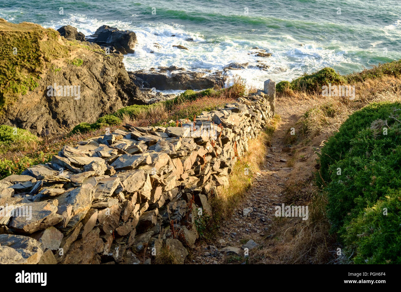 Polurrian Cove, vicino al villaggio di Mullion, Lizard Cornwall Inghilterra Regno Unito Foto Stock