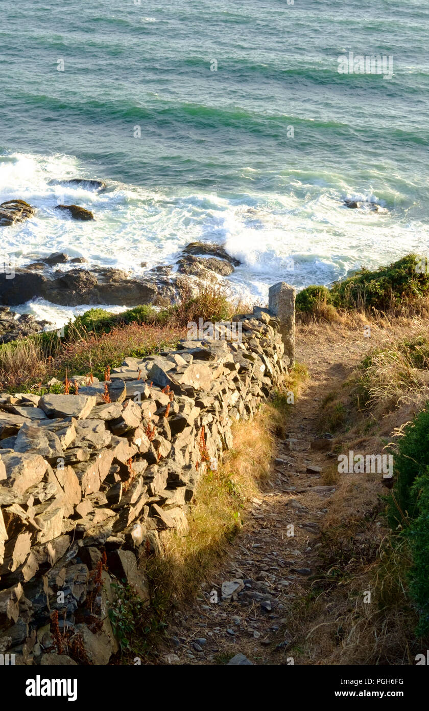 Polurrian Cove, vicino al villaggio di Mullion, Lizard Cornwall Inghilterra Regno Unito Foto Stock