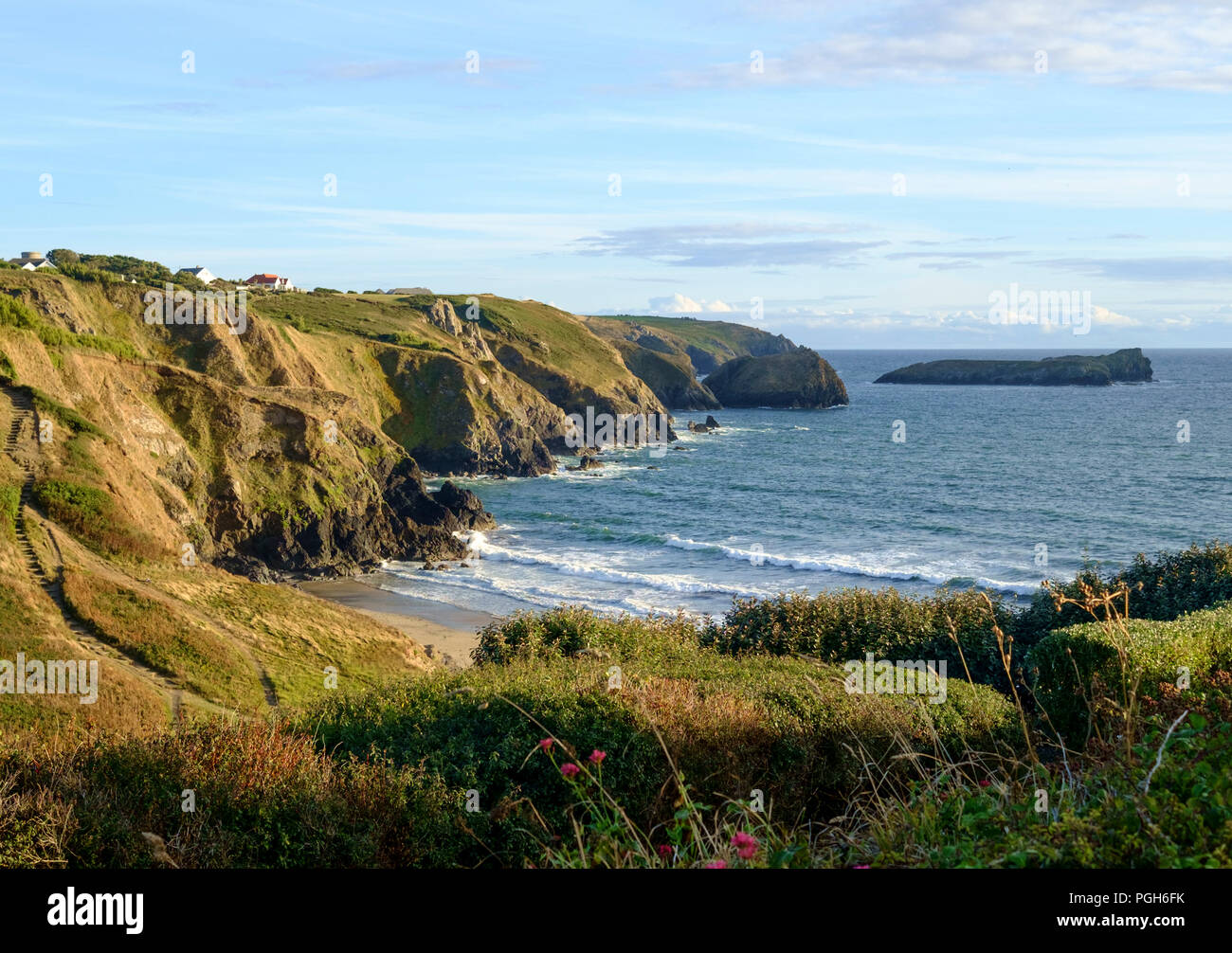 Polurrian Cove, vicino al villaggio di Mullion, Lizard Cornwall Inghilterra Regno Unito Foto Stock