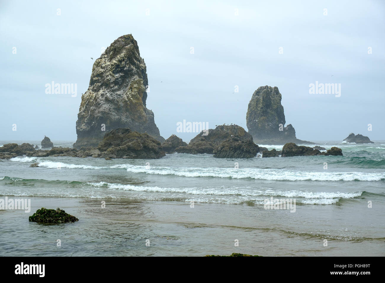 Rocks off Cannon Beach, Oregon, Stati Uniti d'America Foto Stock