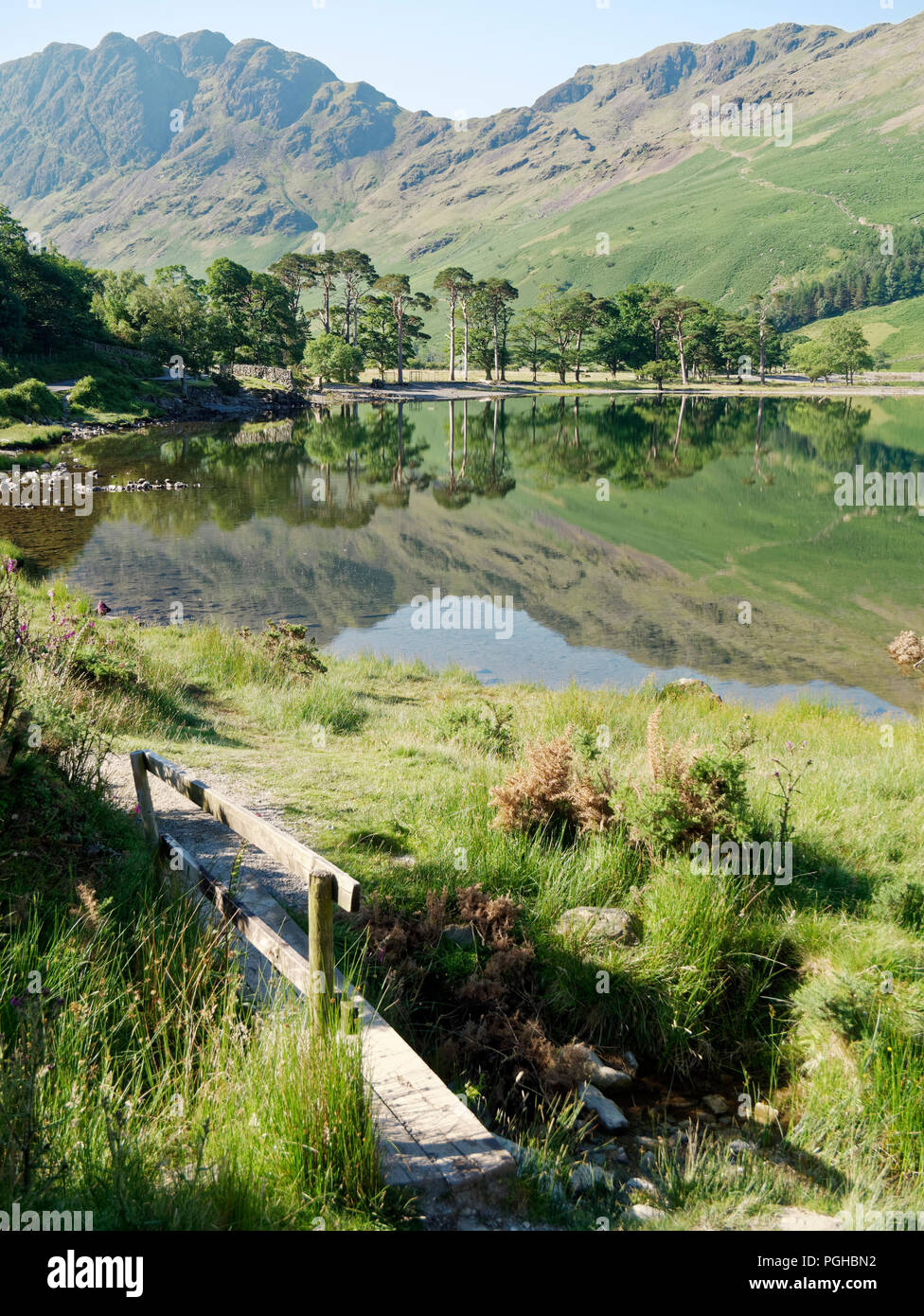 Una giornata di mare calmo nel Lake District inglese mostra il famoso Buttermere pini al loro meglio. Foto Stock