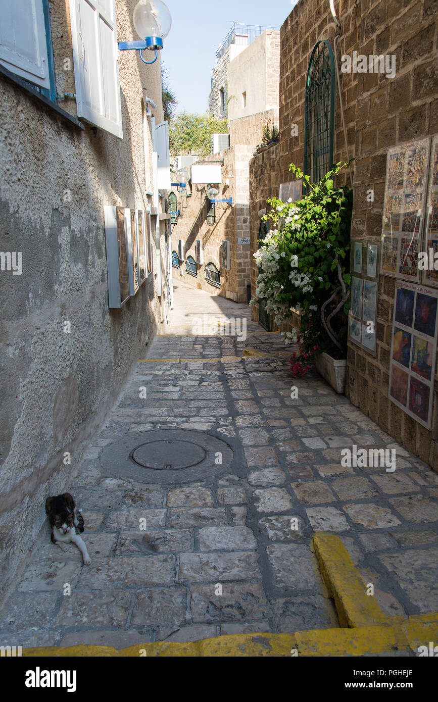 Una stretta viuzza in Vecchia Jaffa, Israele - 2 Foto Stock