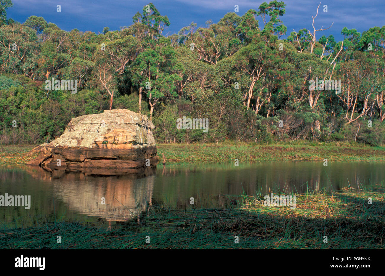 Vista panoramica nel WOLLEMI National Park, New South Wales, Australia. Fiume CAPERTEE Foto Stock