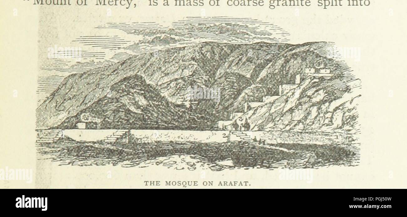 Immagine dalla pagina 219 di 'Vikram e Vampire; o, racconti di diavolerie indù. Adattato dal capitano Sir Richard F. Burton [dall'Baitāl-Pachīsī] ... A cura di sua moglie, Isabel Burton ... A trentatré illustr0030. Foto Stock