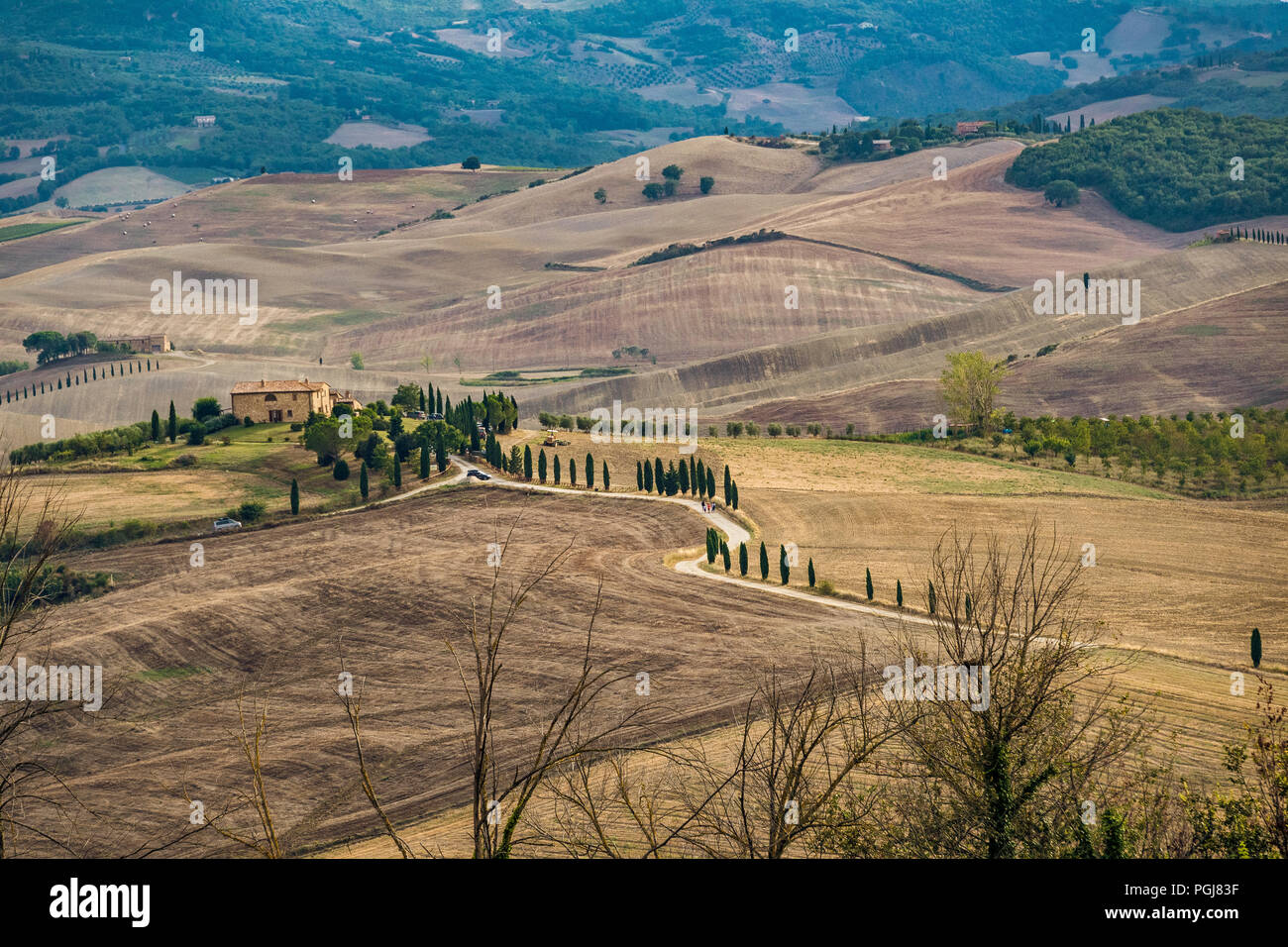 Colline Toscane, Italia Foto Stock