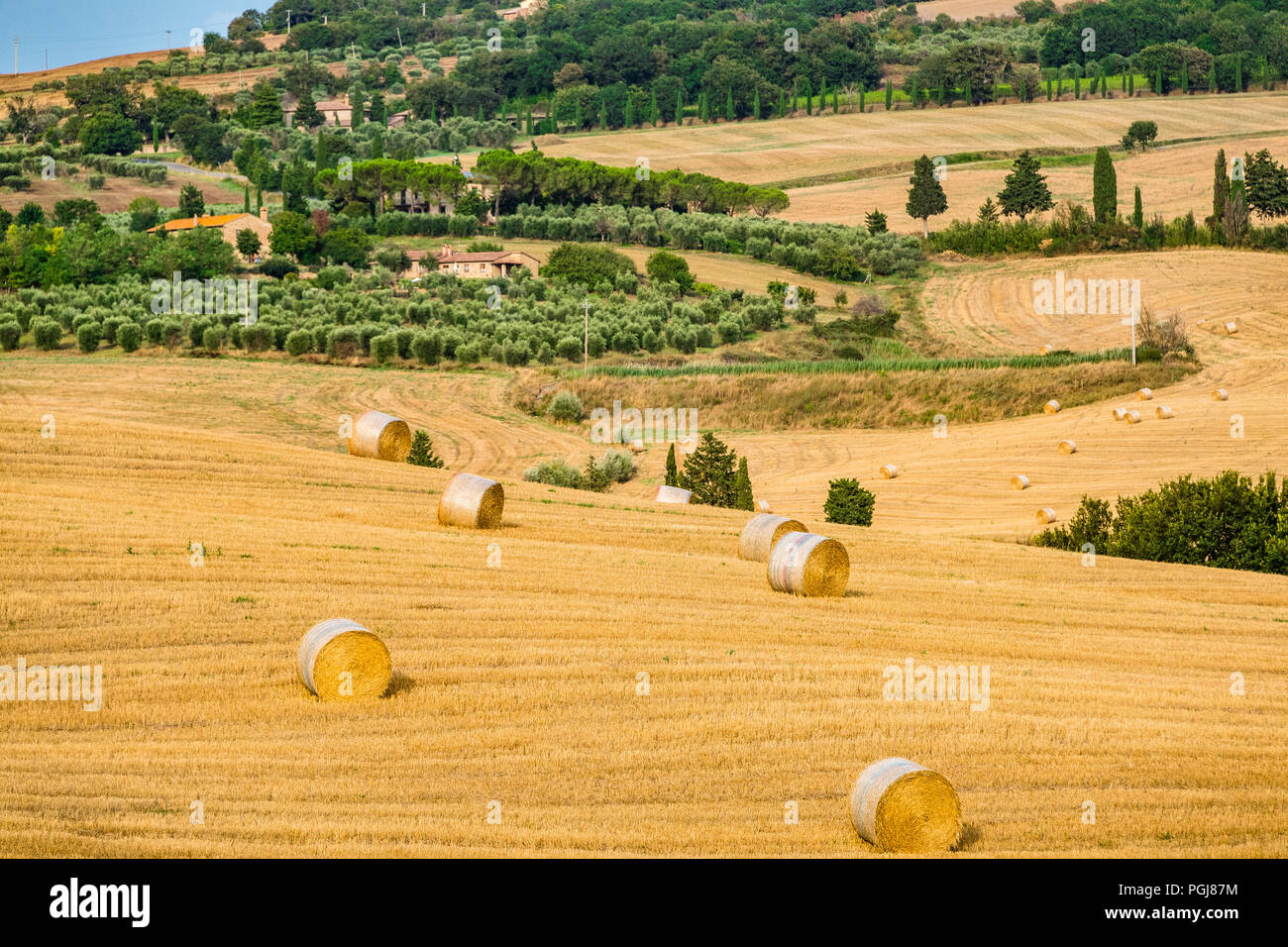 Grandi rotoballe di fieno sulle colline della Toscana, Italia Foto Stock