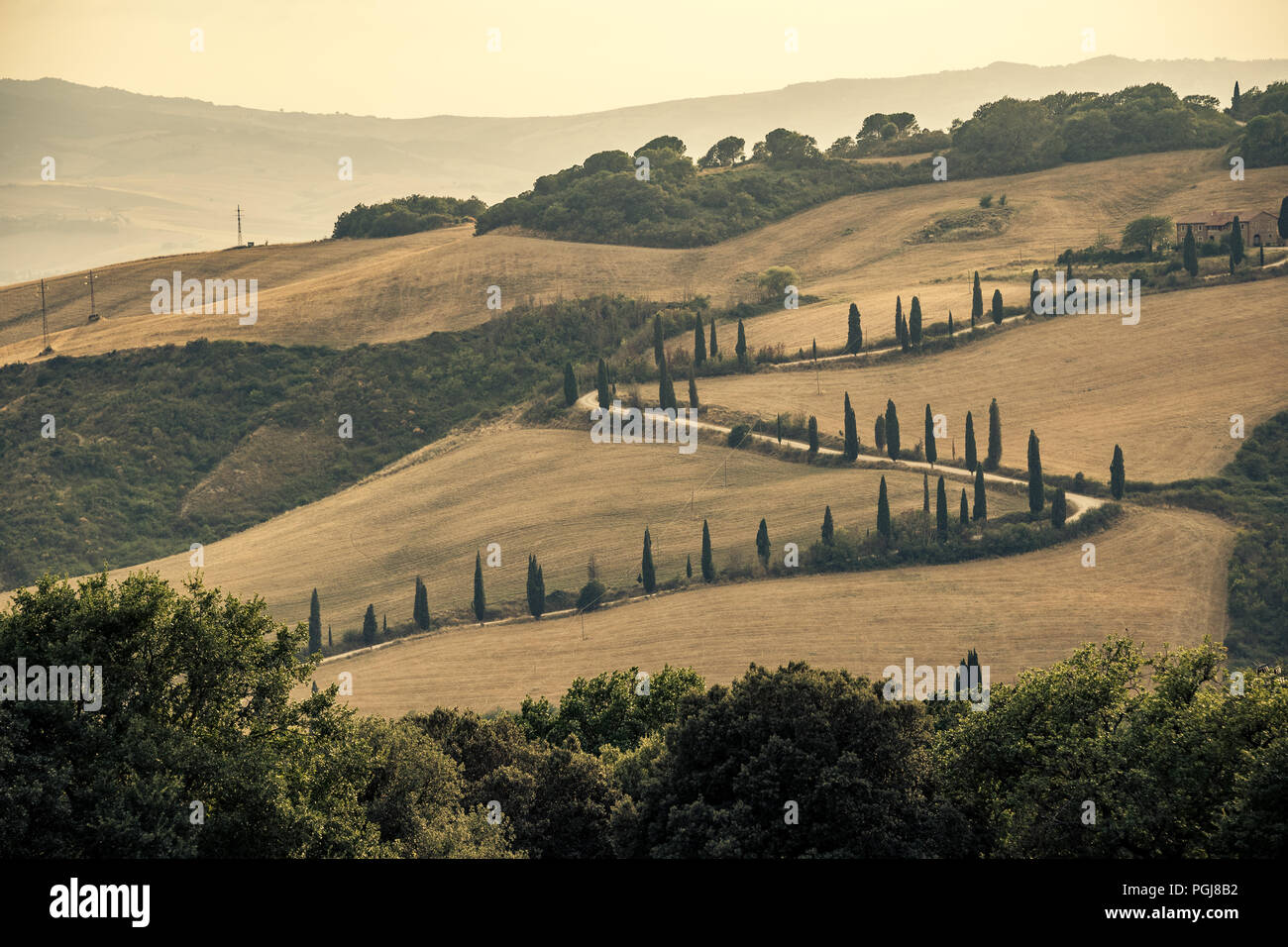 Una strada tortuosa foderato con alberi di cipro nelle colline toscane, Italia Foto Stock