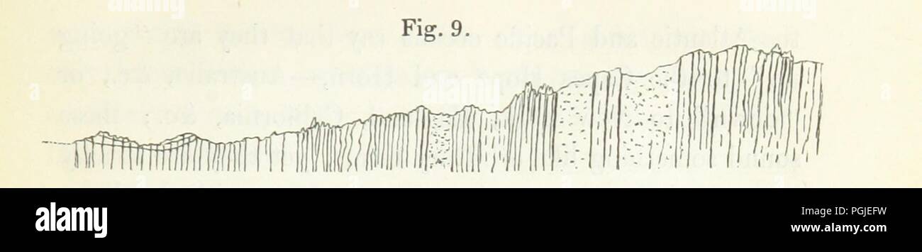 Immagine dalla pagina 41 di '[sul collegamento di geologia con il magnetismo terrestre ... Con venti-quattro piastre.]' . Foto Stock
