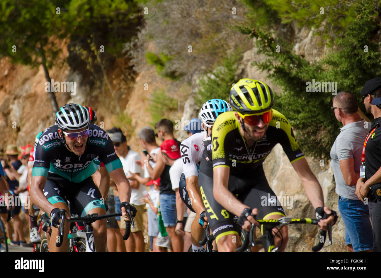 La Vuelta, Spagna. 27 Agosto, 2018. Fase 3; da Mijas - Alhaurín de la Torre; 178,2 km. Andalusia, principale gruppo arriva al km 152 vicino a Mijas Pueblo. Perry Van Munster/Alamy Live News Foto Stock