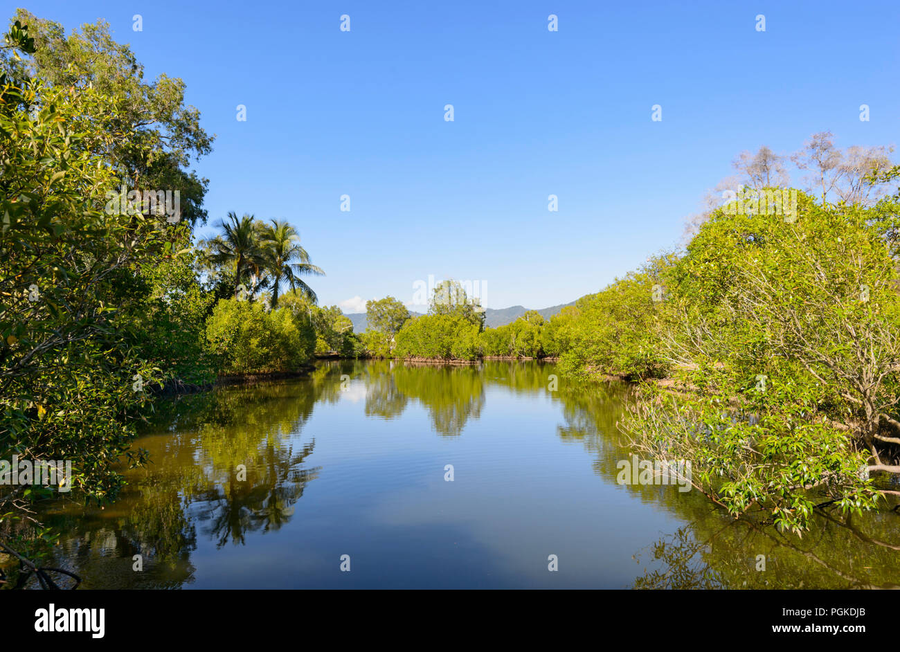 Vista panoramica della baia di acqua salata, Laghi Centenari, Cairns, estremo Nord Queensland, FNQ, QLD, Australia Foto Stock