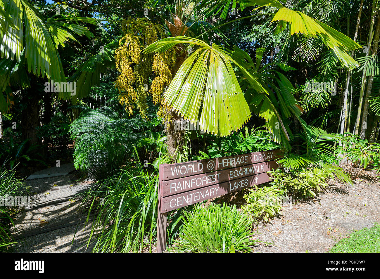 Segno per la foresta pluviale Boardwalk, Cairns Botanic Gardens, Edge Hill, estremo Nord Queensland, FNQ, QLD, Australia Foto Stock