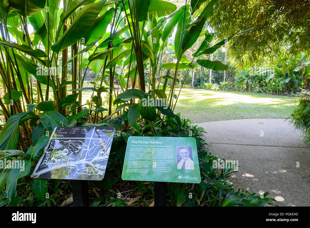 Il giardino Flecker, Cairns Botanic Gardens, Edge Hill, estremo Nord Queensland, FNQ, QLD, Australia Foto Stock