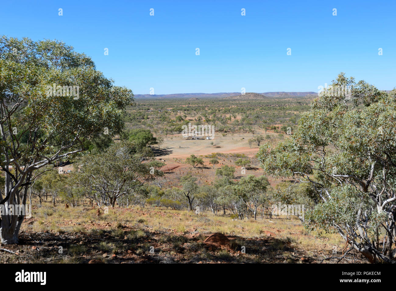Vista della terra di pascolo a West Leichhardt stazione di bovini da un belvedere, Queensland, QLD, Australia Foto Stock